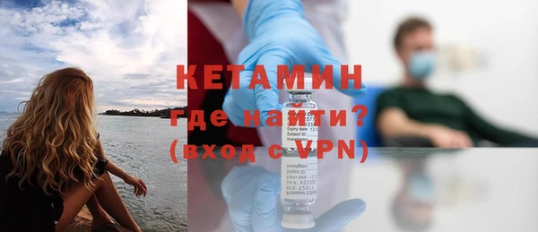индика Краснослободск