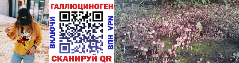 Галлюциногенные грибы Cubensis  OMG   Котельниково 